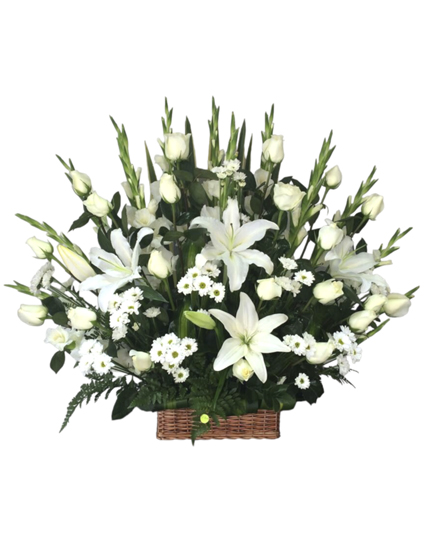 Lagrima Fúnebre de piso 06